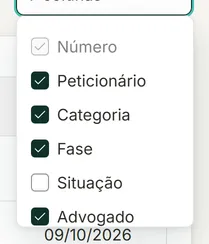 Lista de opções do botão Colunas, com as colunas marcadas e a coluna Número sempre marcada